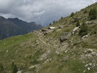 CH, Wallis, Saas Grund, Hannig 4, Saxifraga-Willem van Kruijsbergen